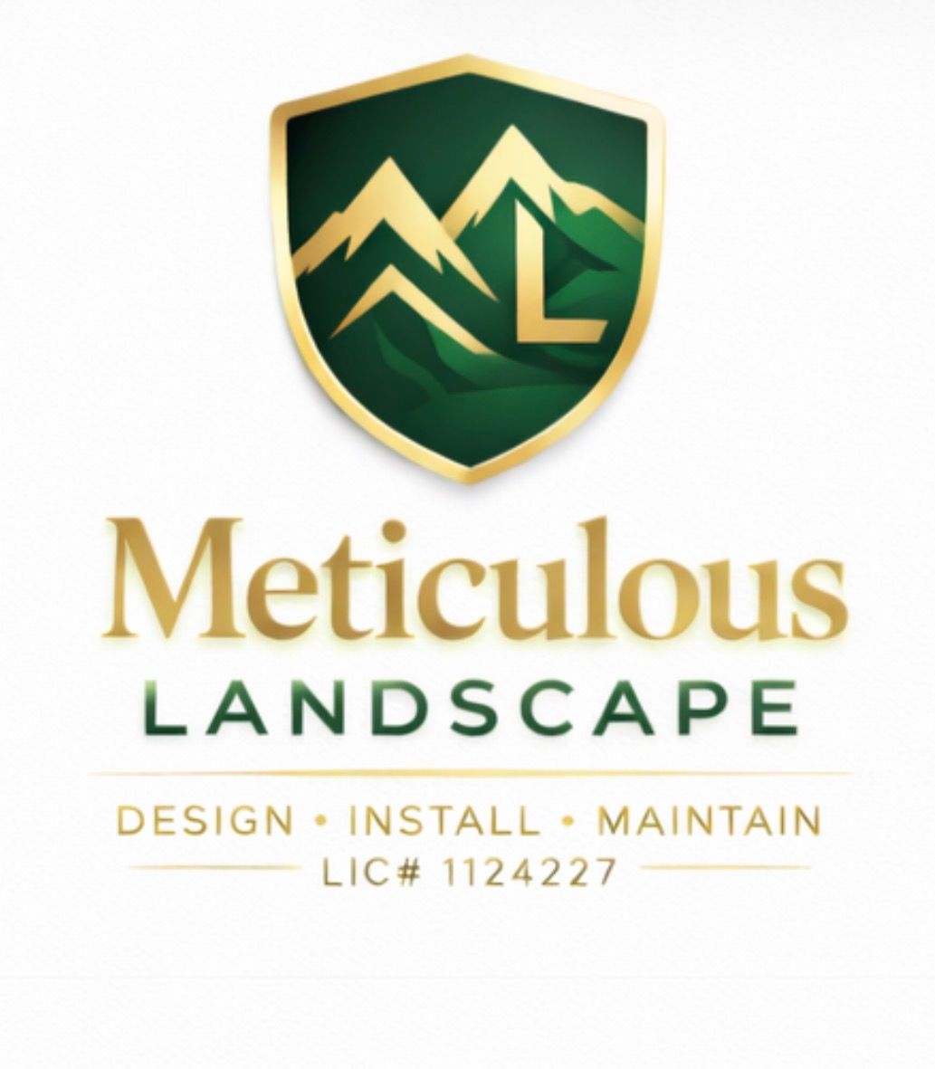 Meticulous Landscape Meticulous Landscape