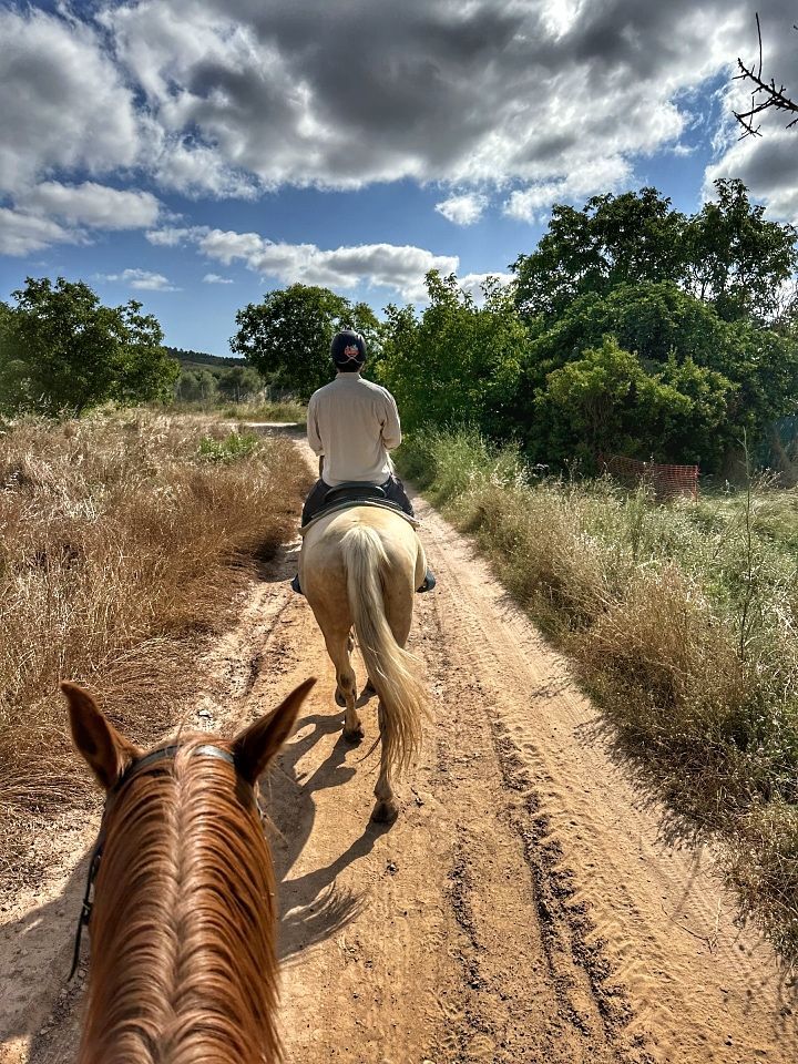Dos jinetes a caballo en un camino de tierra en un paisaje soleado y arbolado.