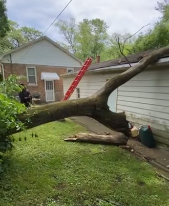 Tree Storm Damage Cleanup