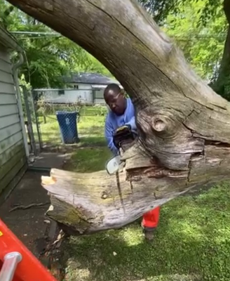 Worker Removing the Grass in Backyard