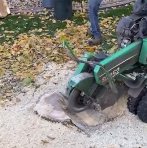 Stump Grinding Using a Machine