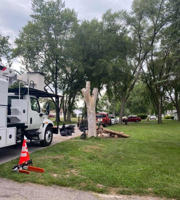 Tree Trimming Service in Residential Area