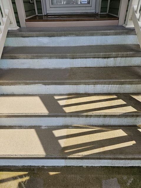 Concrete outdoor stairs leading to a doorway, showing a partially cleaned surface with shadows from a railing.