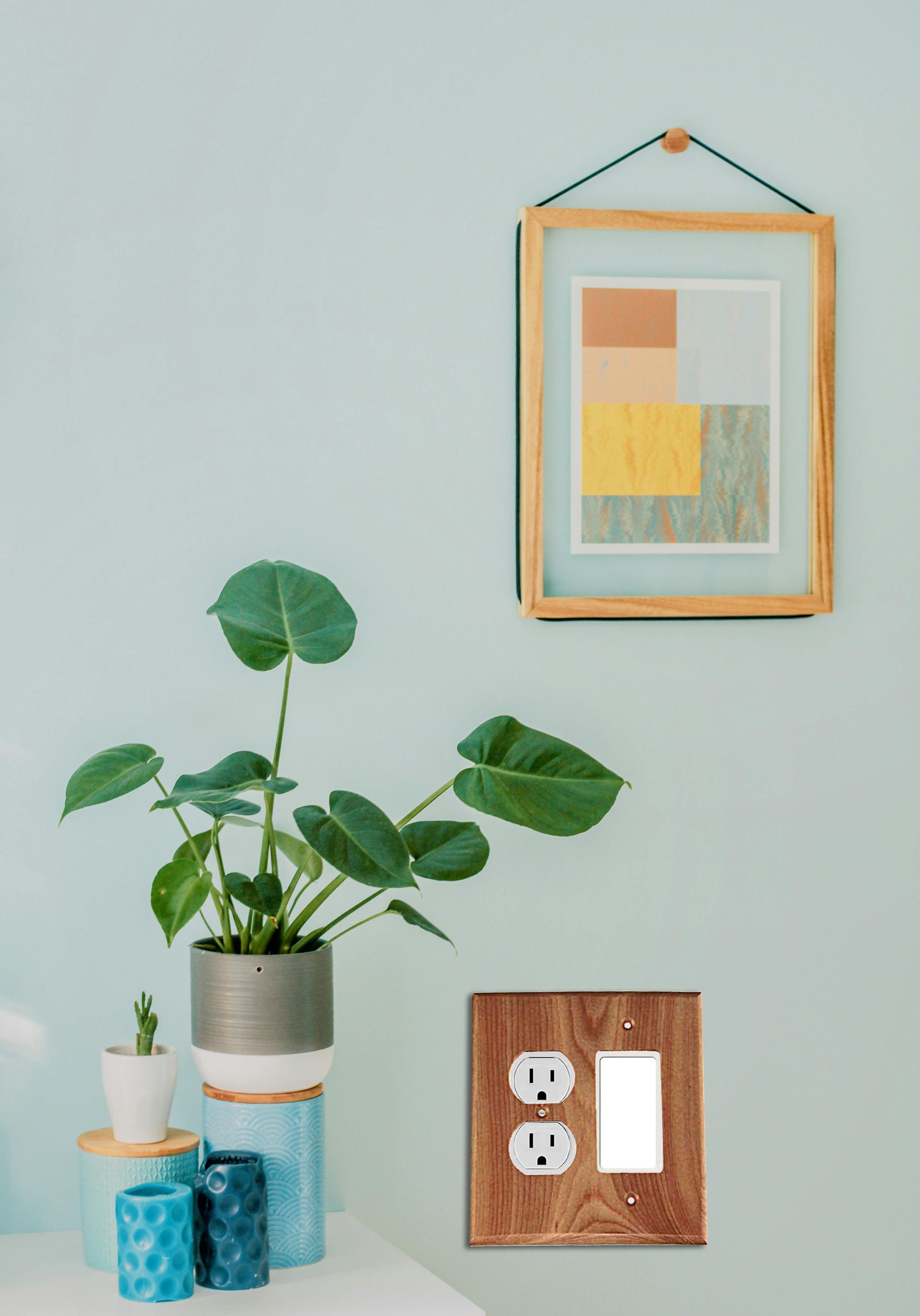 A wall displaying a custom wood switch plate cover.
