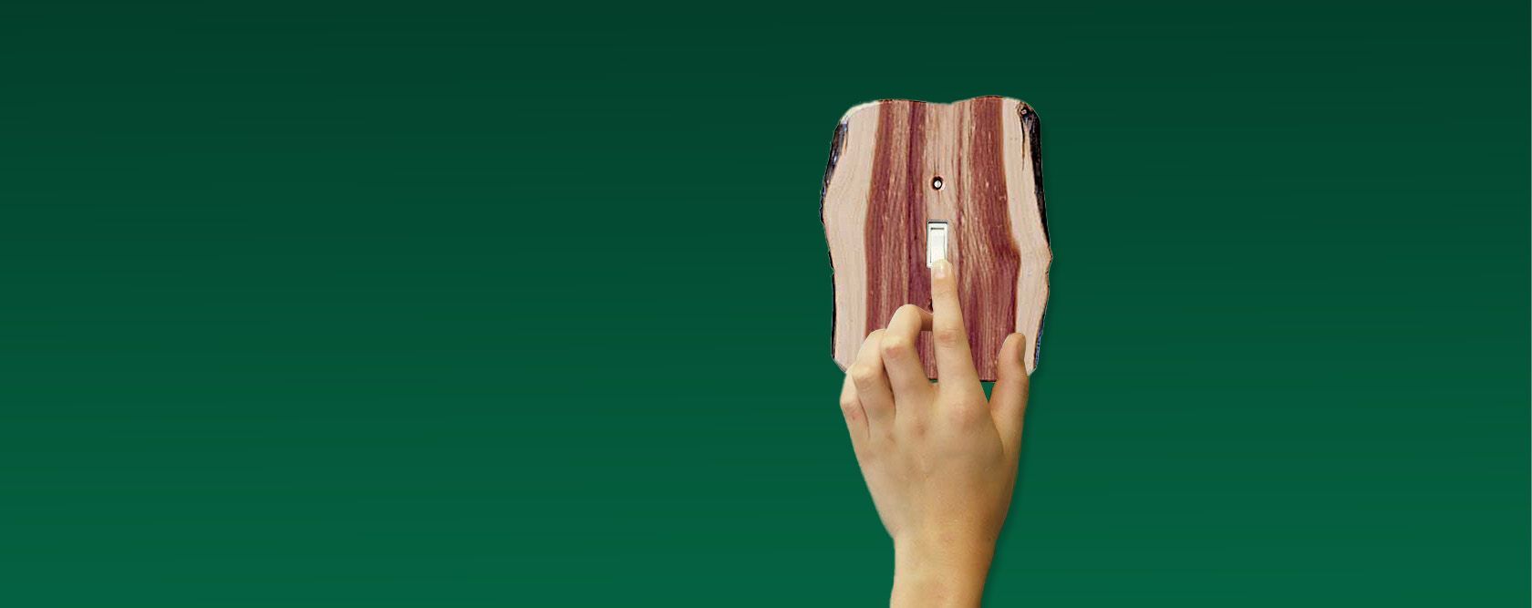 A person is holding a piece of bacon in their hand