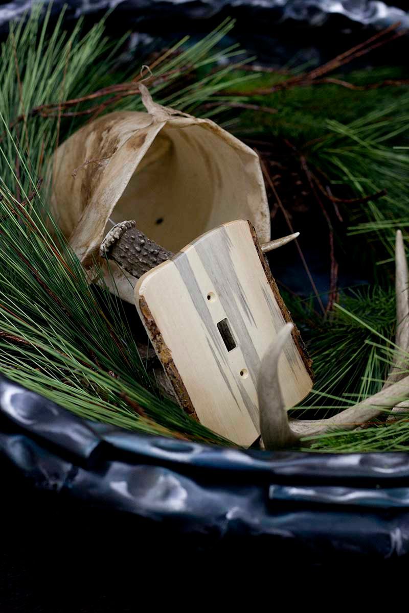 A wall switchplate is laying in a pile of pine needles