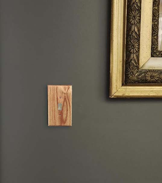 A picture frame is hanging on a gray wall next to a traditional red oak wood switch plate cover.