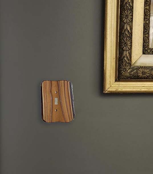 A picture frame is hanging on a wall next to a custom rustic switch plate cover.