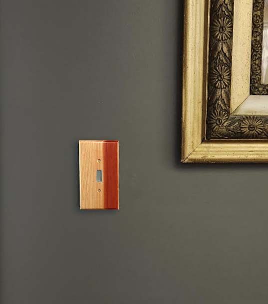 A picture frame is hanging on a wall next to a tradition single toggle in juniper.