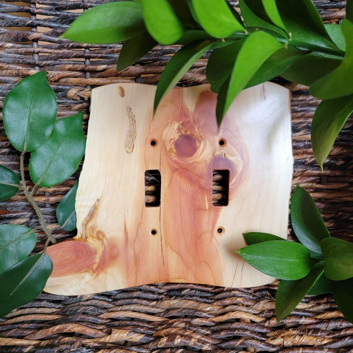 A wooden light switch cover is surrounded by green leaves