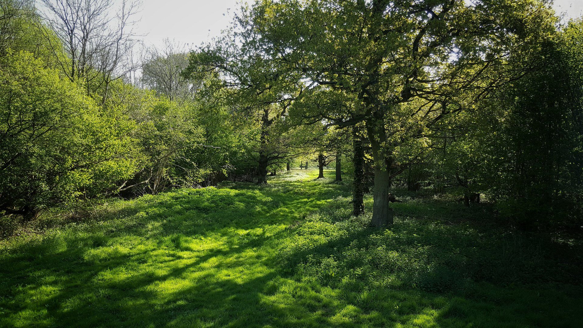 Gallery of images Spains Hall Estate finchingfield