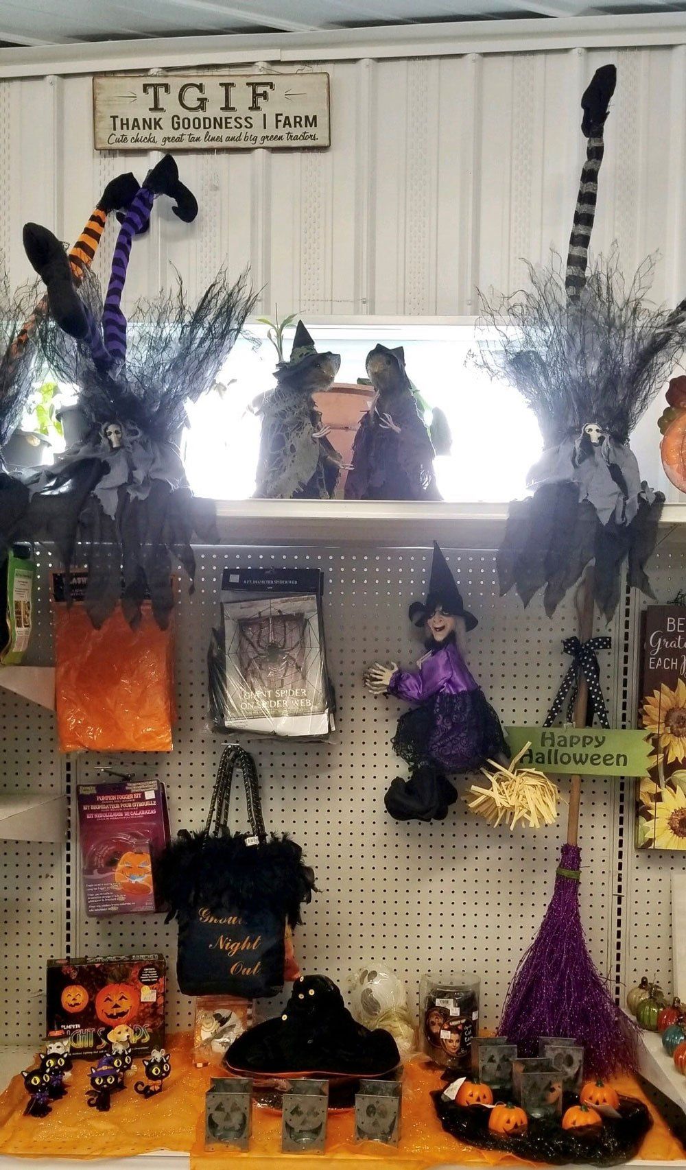 Halloween Decorations