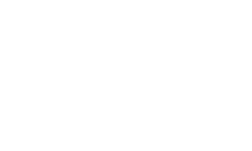 Empty white background.