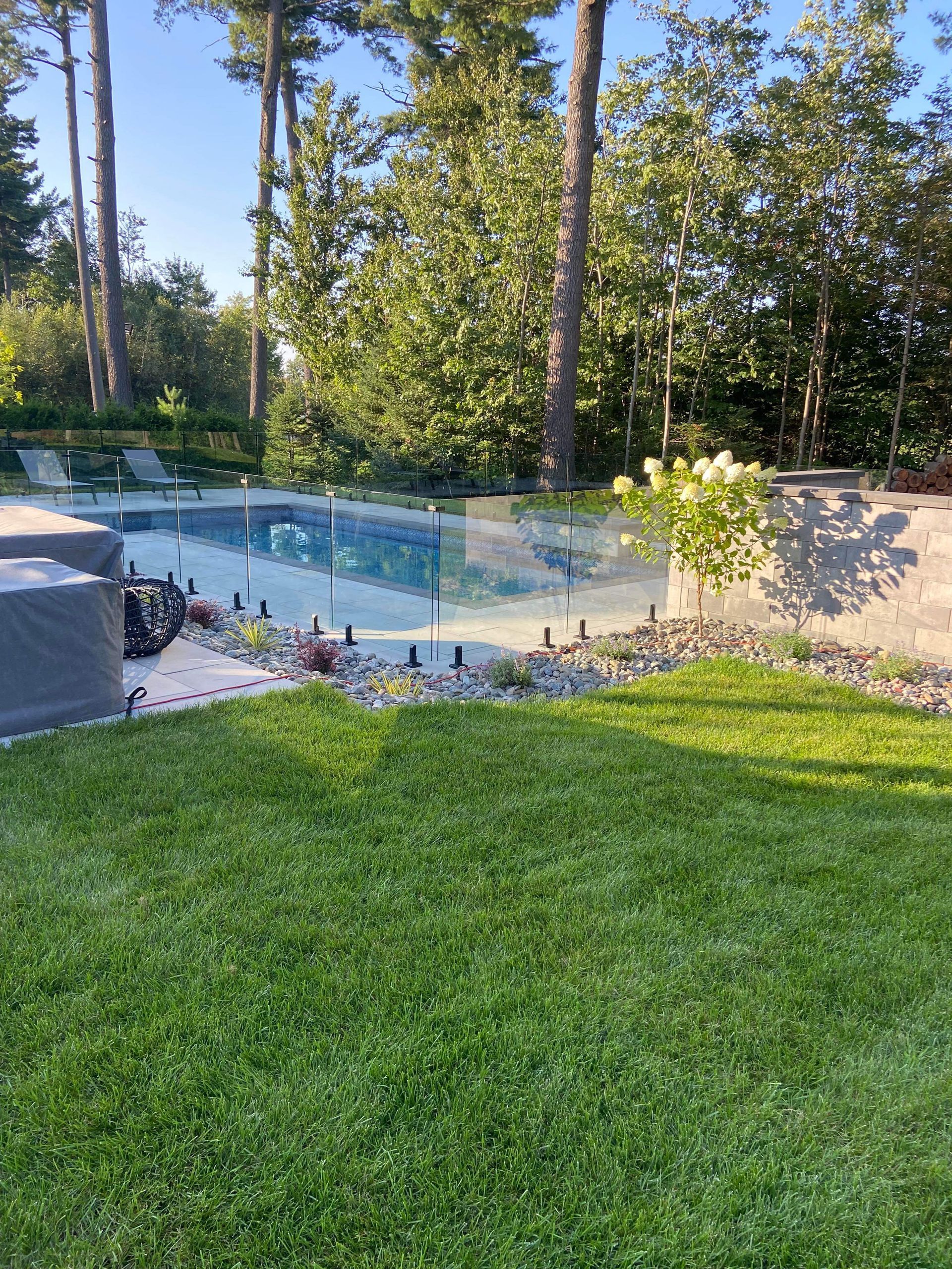Une pelouse verte luxuriante avec une piscine en arrière-plan.
