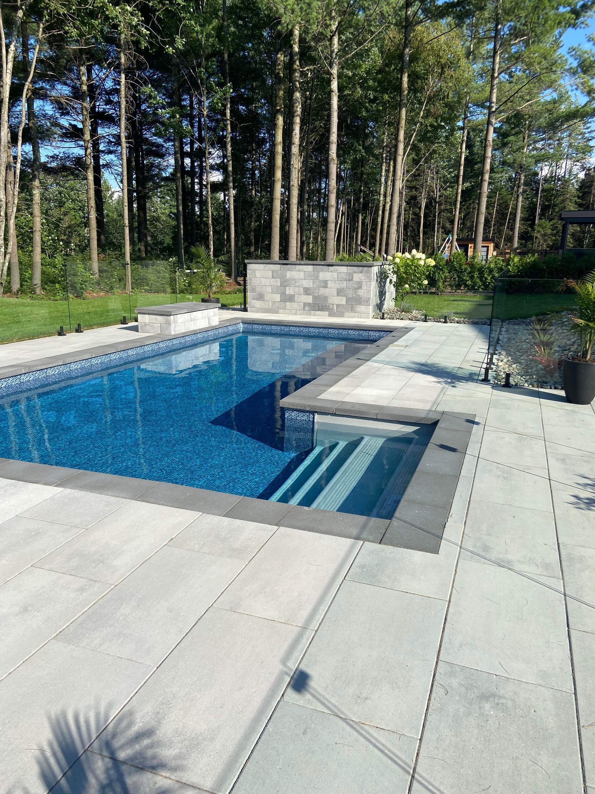 Une grande piscine entourée d'arbres dans une cour arrière