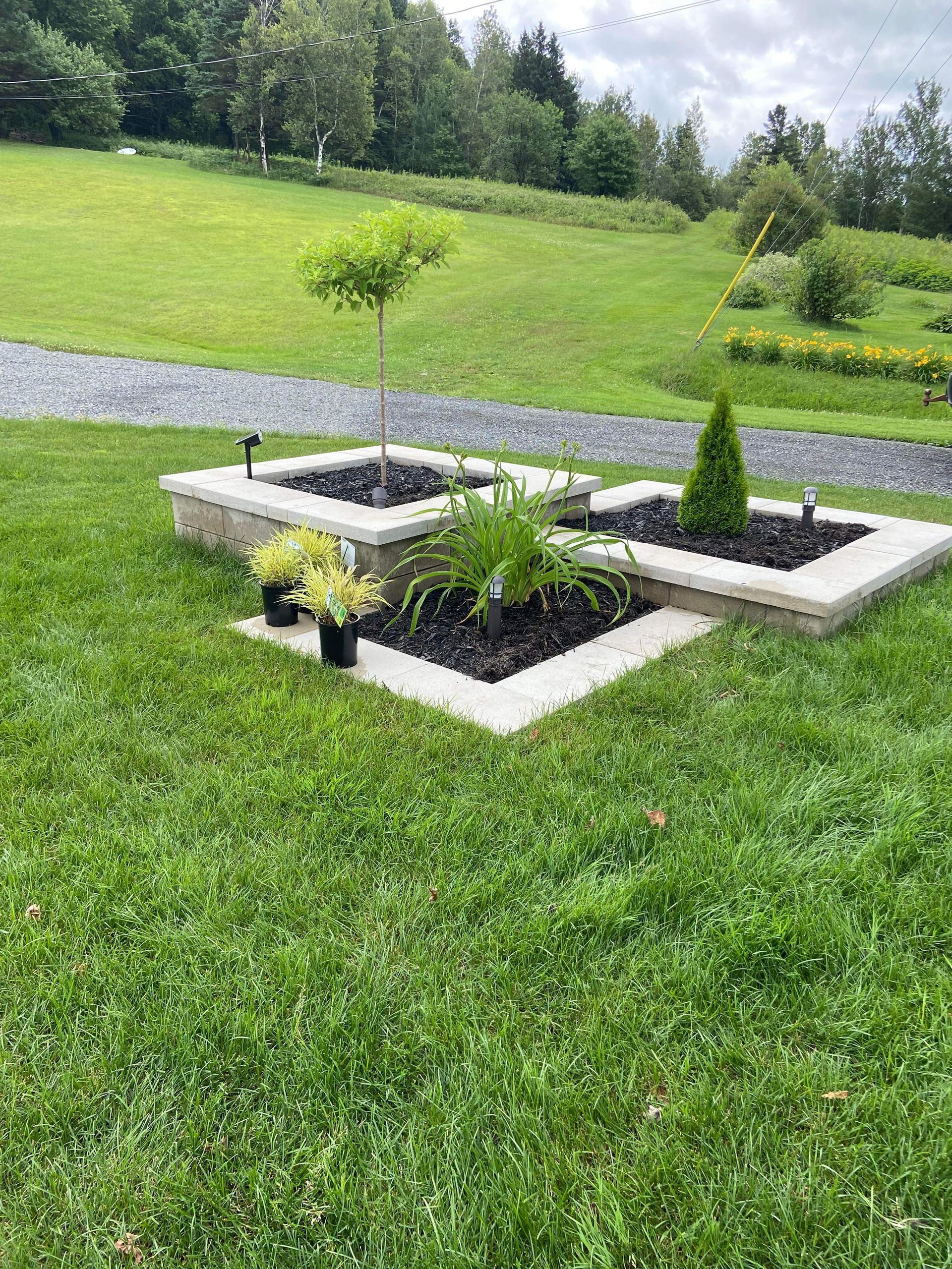 Un champ vert luxuriant avec quelques jardinières au milieu.