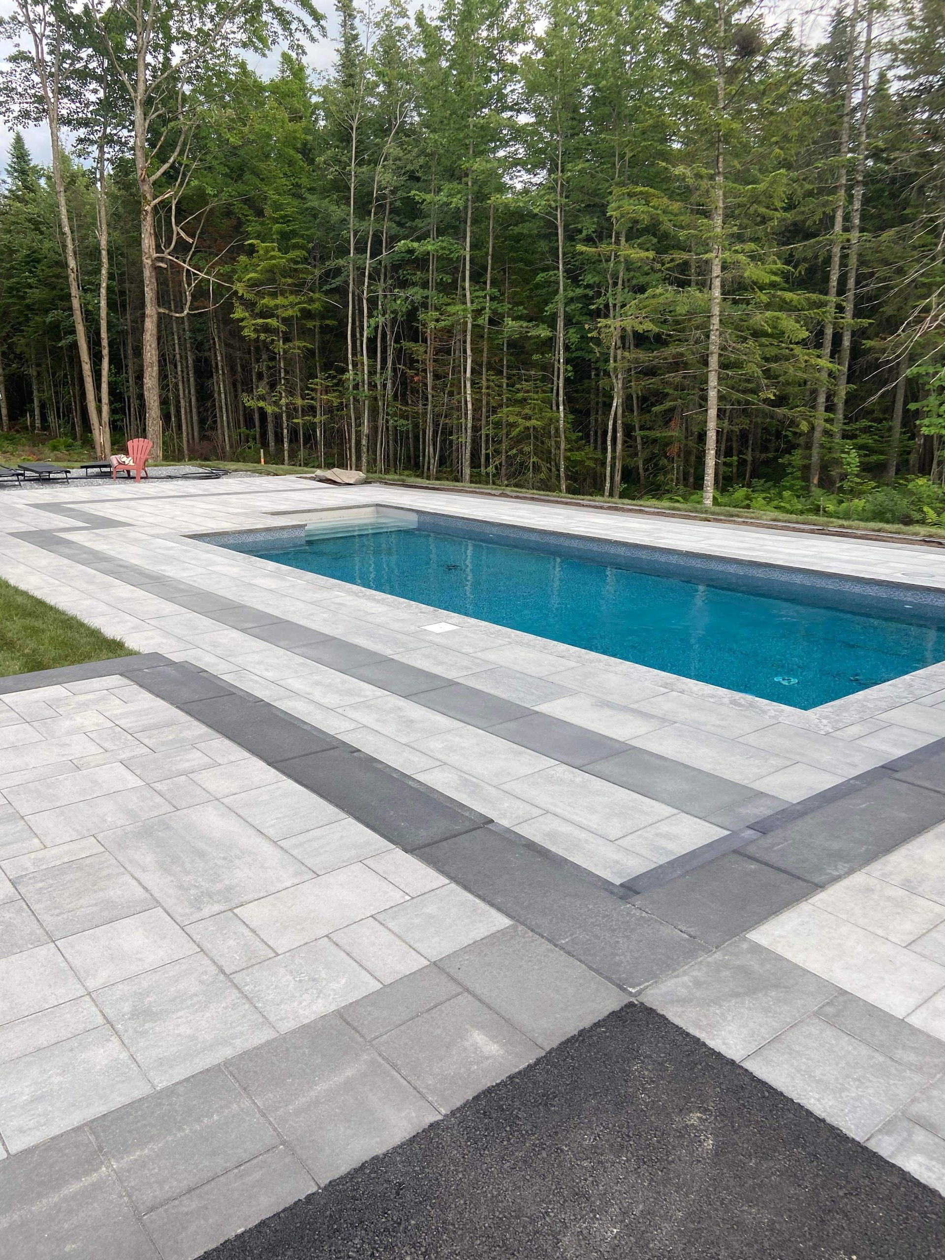 Une grande piscine entourée d'arbres dans une cour arrière.