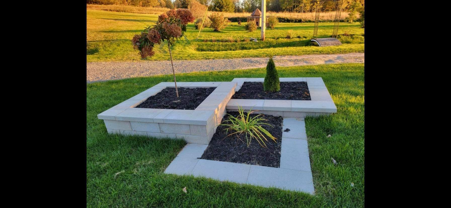 Une jardinière en béton avec un arbre à l'intérieur se trouve au milieu d'un champ vert luxuriant.
