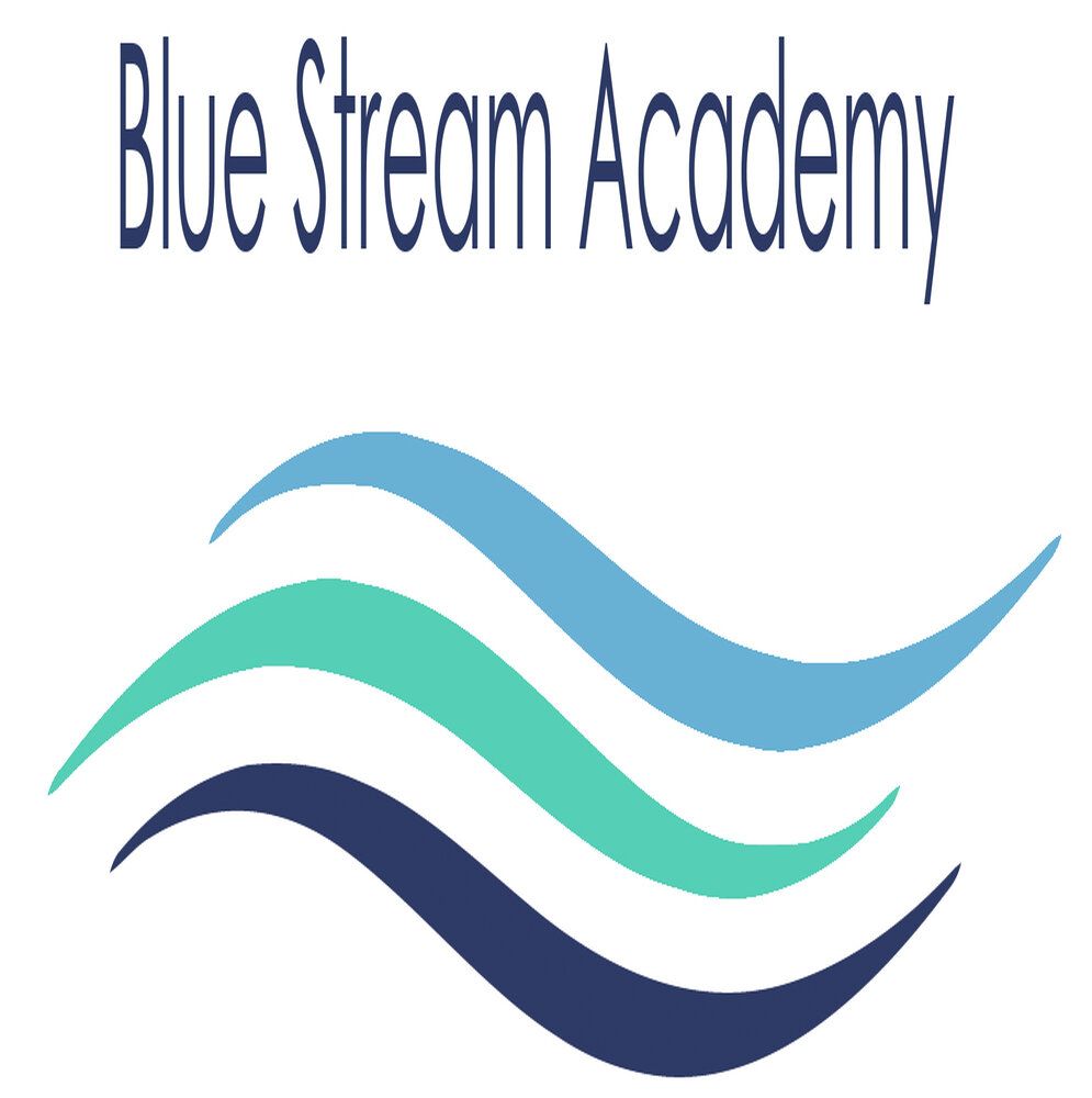 Find out more about our partner training provider, Blue Stream Academy
