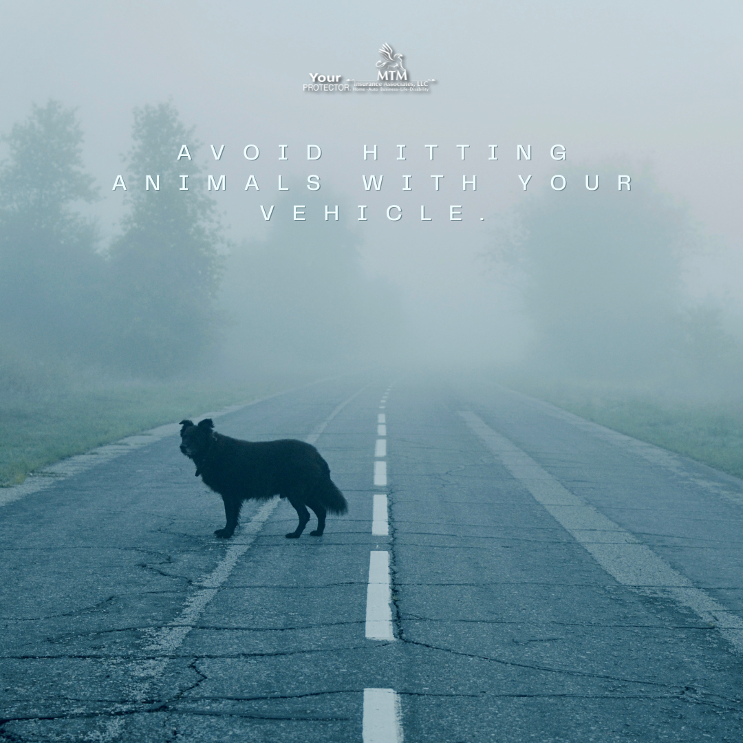 Stay Vigilant On The Road