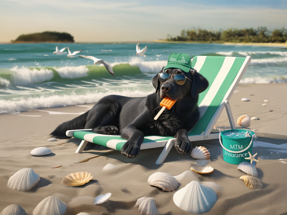 Black lab relaxing at beach on a chair