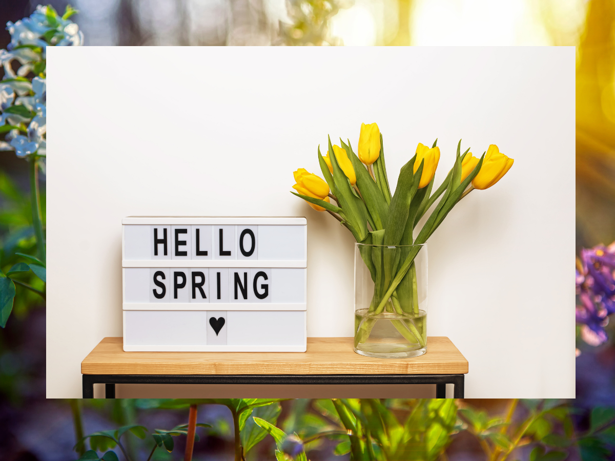 Text Hello Spring with vase of yellow tulips