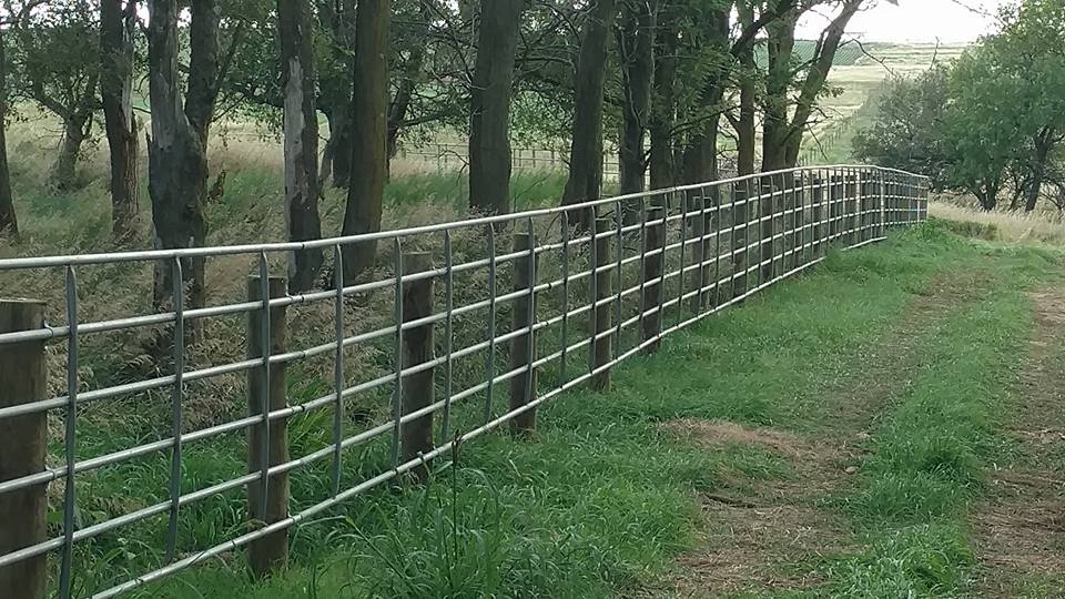 Trail fence in the farm — fencing in Volin, SD