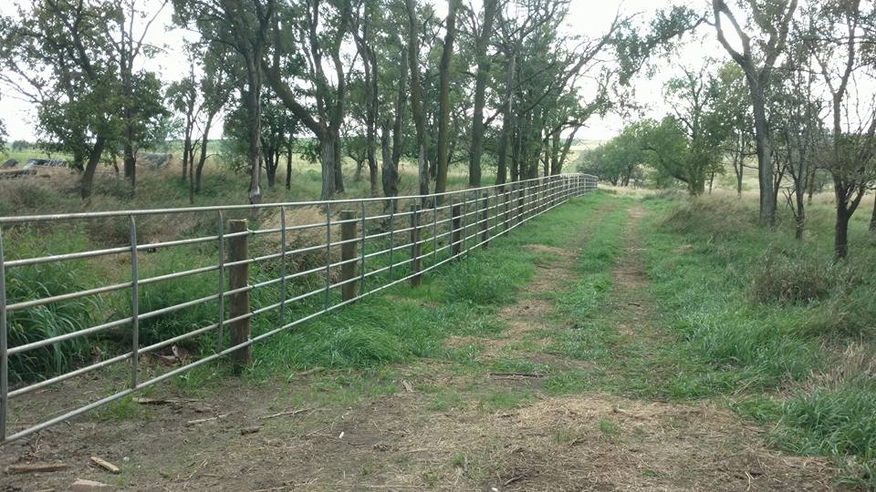 Trail fence in a grassy land — fencing in Volin, SD