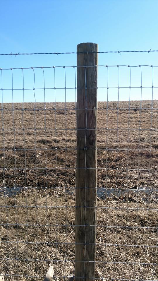 Barbed wire fence — fencing in Volin, SD