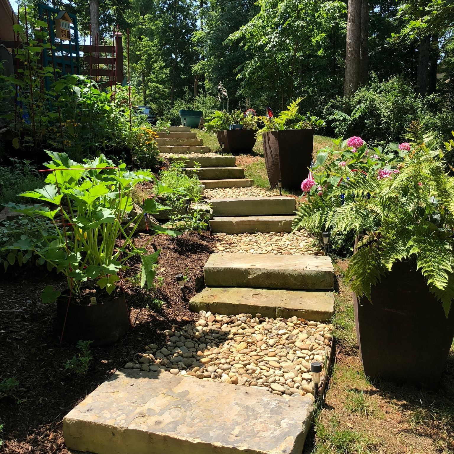 Stone steps ascend through a lush garden with potted plants and gravel.