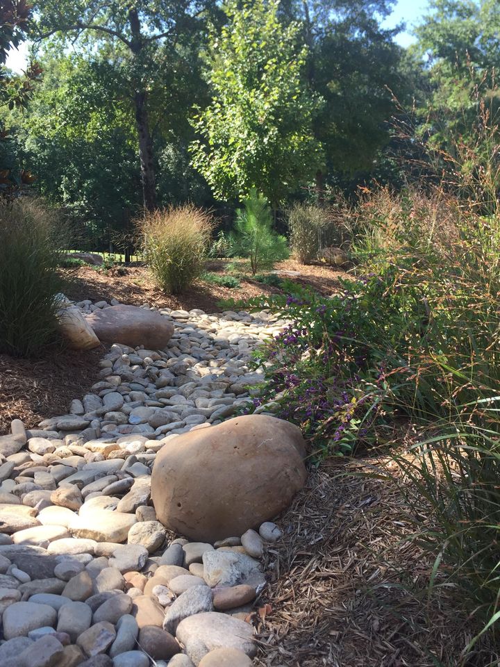Dry creek bed with rounded stones, bordered by plants and trees. Sunny outdoor setting.