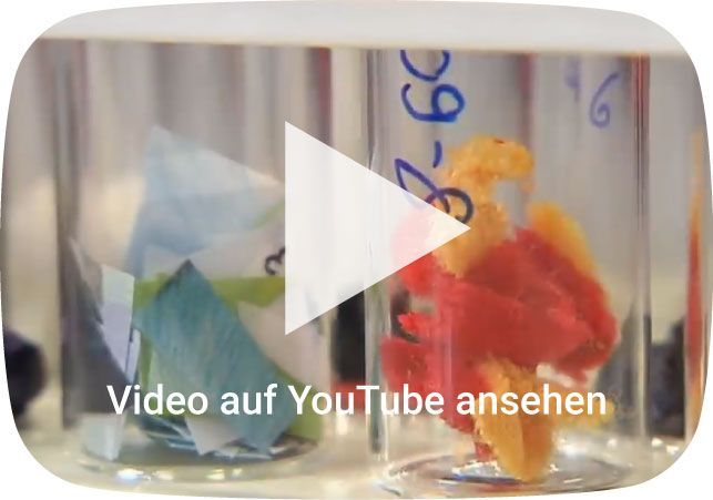 Ich mach's Chemielaboranten. Video auf YouTube ansehen.