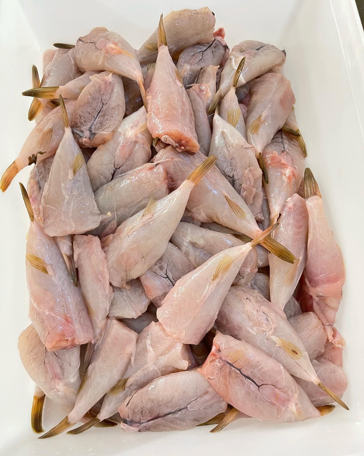 Pile of raw, pale fish fillets in a white container, with small yellow tails visible.