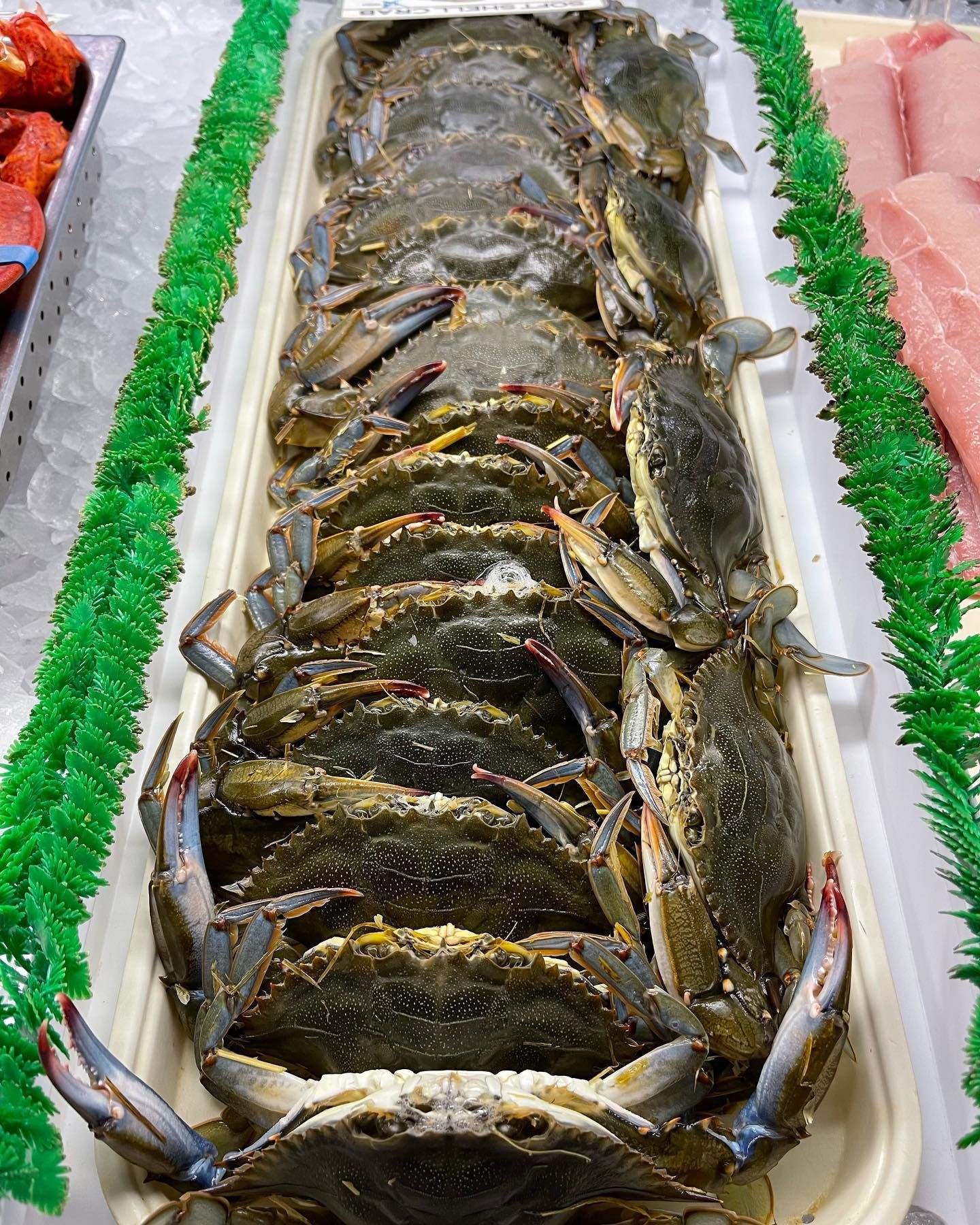 Display of blue crabs on ice at a seafood market.