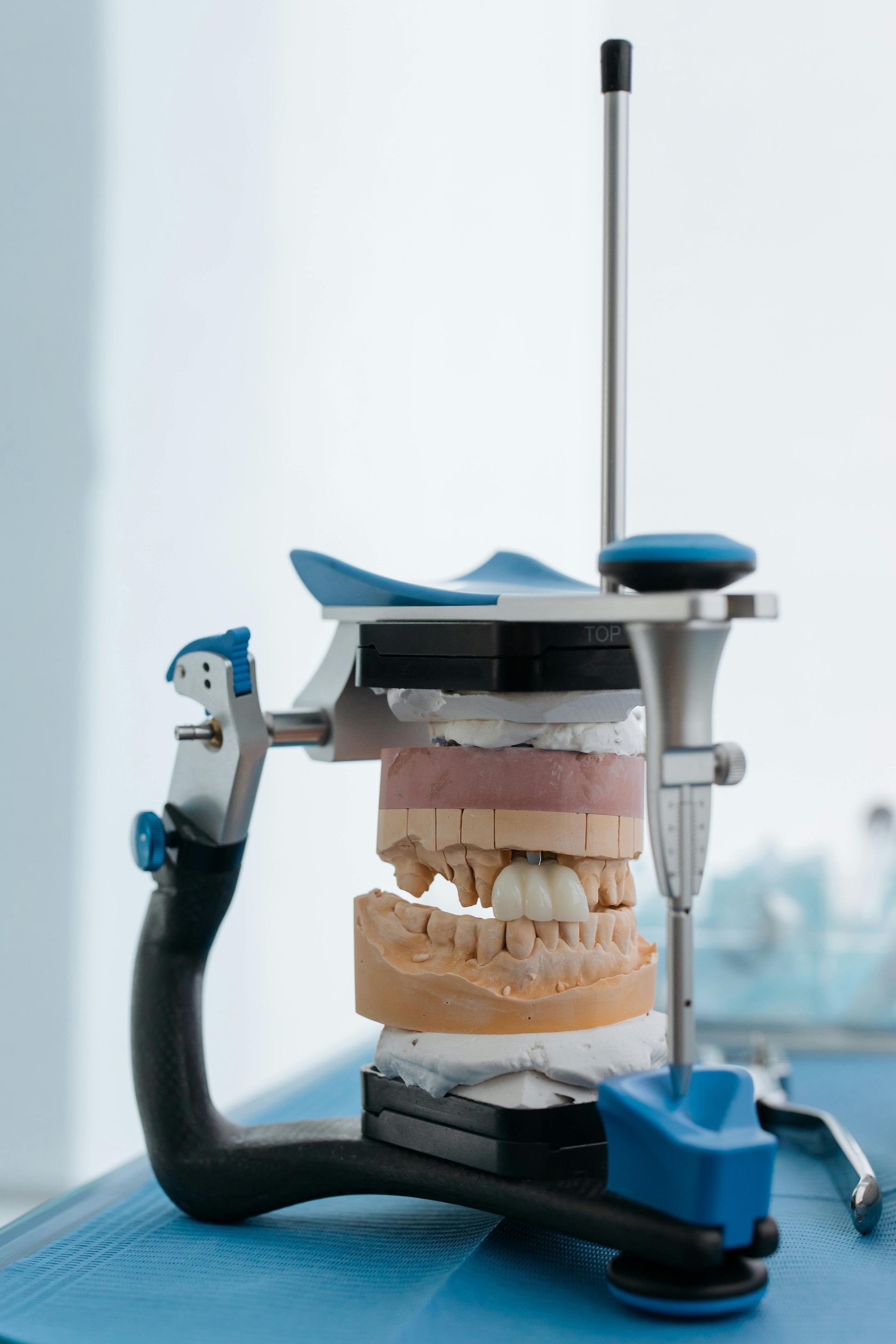 A dental model of a person 's teeth is sitting on a table.