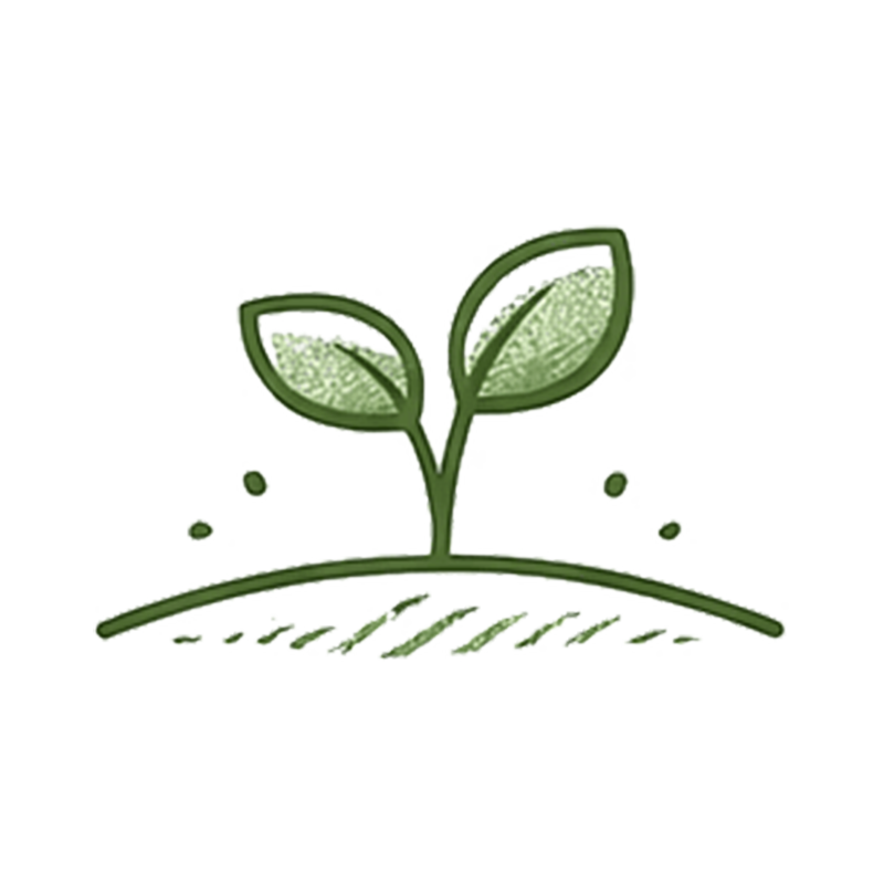 土壤冒出綠色嫩芽。