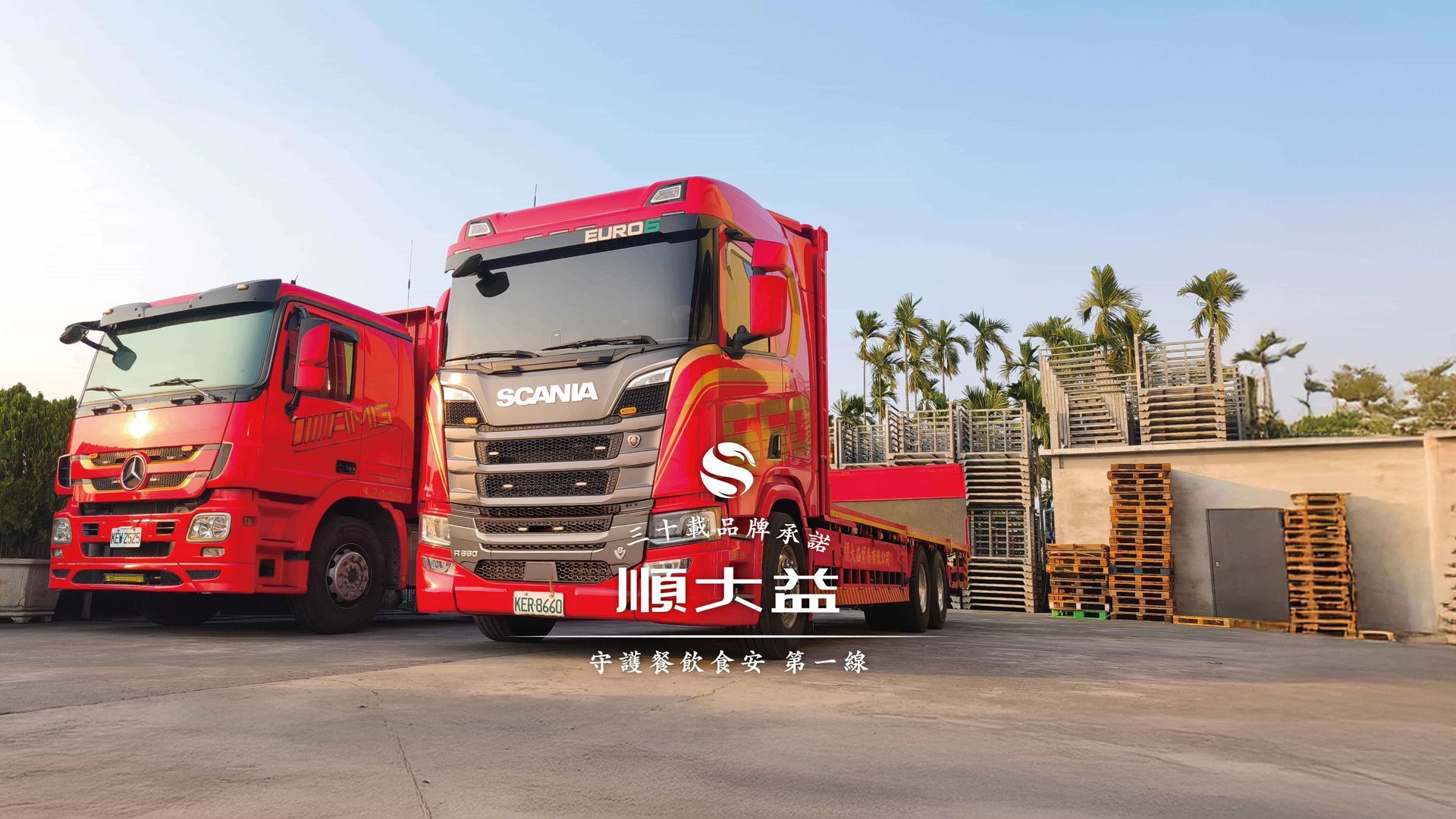 田野裡生長著高麗菜，葉子又大又綠，菜頭圓圓的。