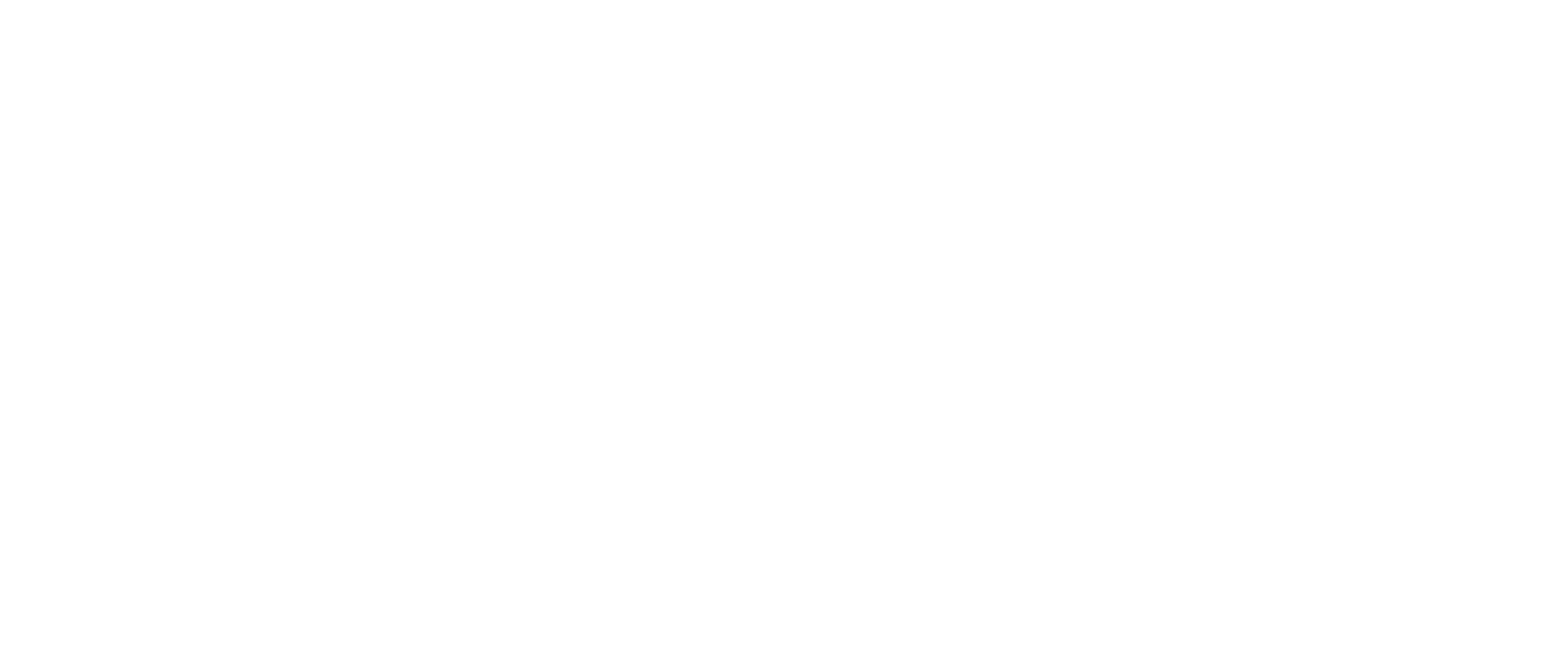 WSI | Agencia de Marketing Digital