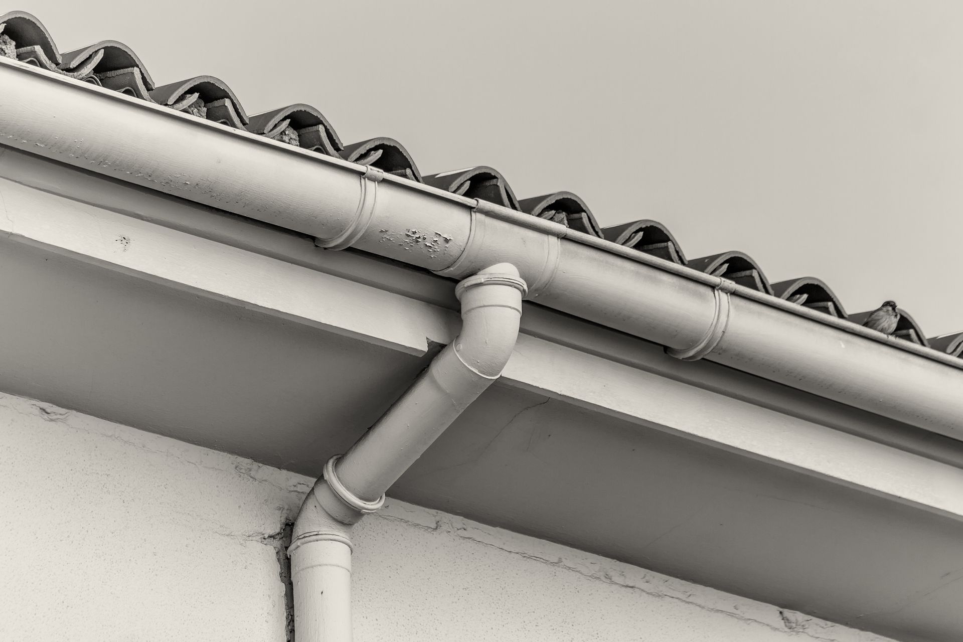 A black and white photo of a gutter on the side of a building.