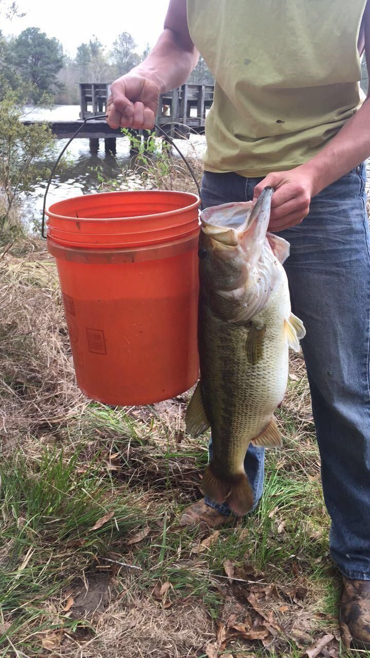 Man holding a large bass next to an orange bucket near a body of water and wooden structure.