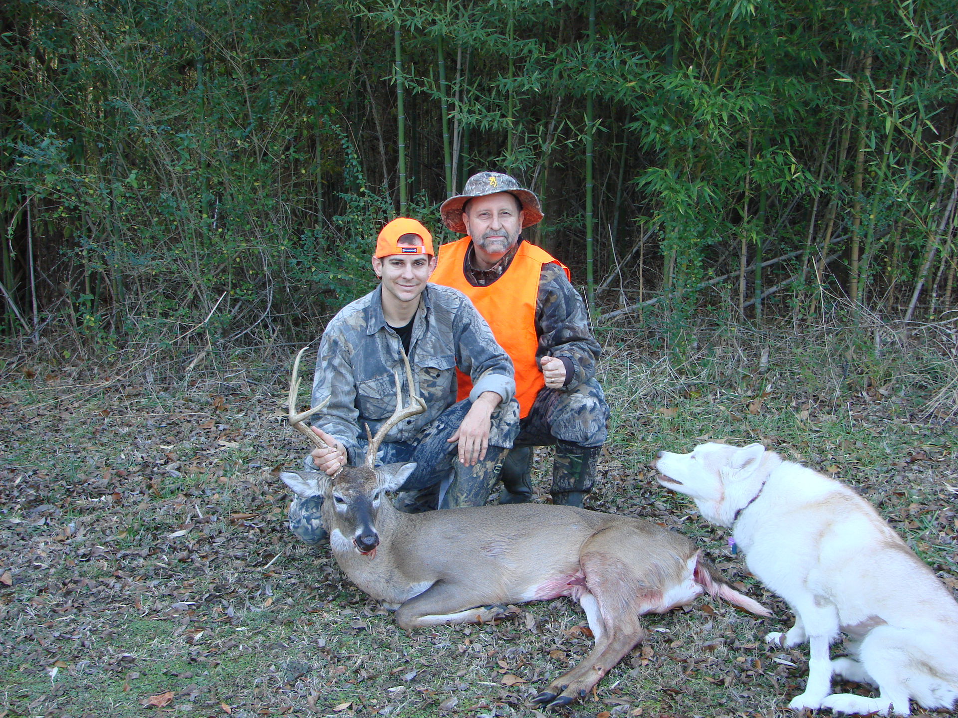 Two men kneel beside a harvested deer, with a white dog. Men wear hunting gear and orange vests in a wooded area.