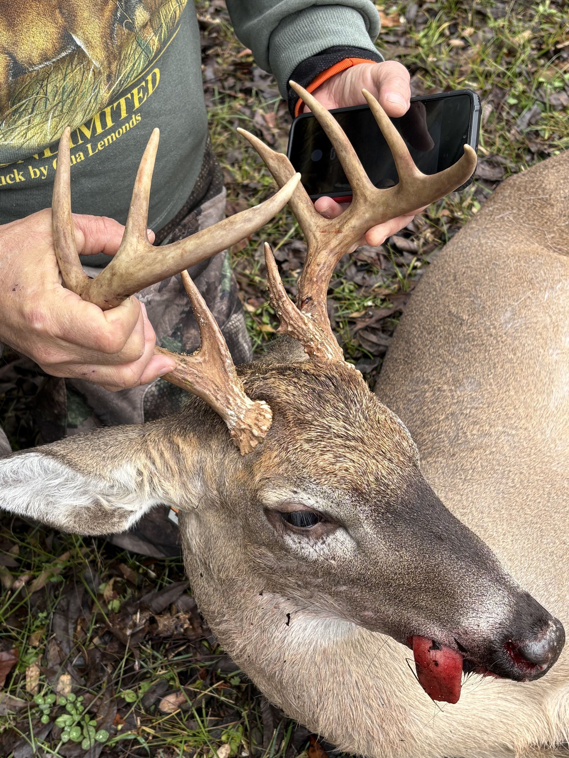 A hunter holds the antlers of a deer lying on the ground. The deer has blood on its muzzle and a tan coat.