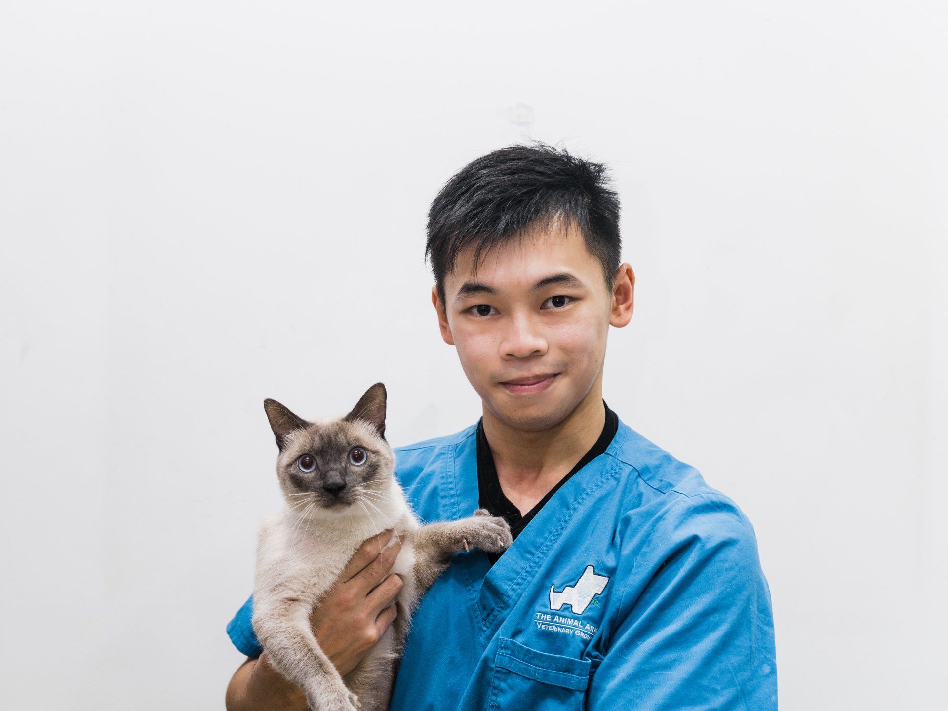 About Us | AVH Animal Ark Veterinary Group