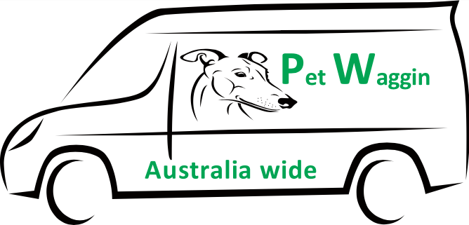 Interstate Pet Transport in Australia | Pet Waggin