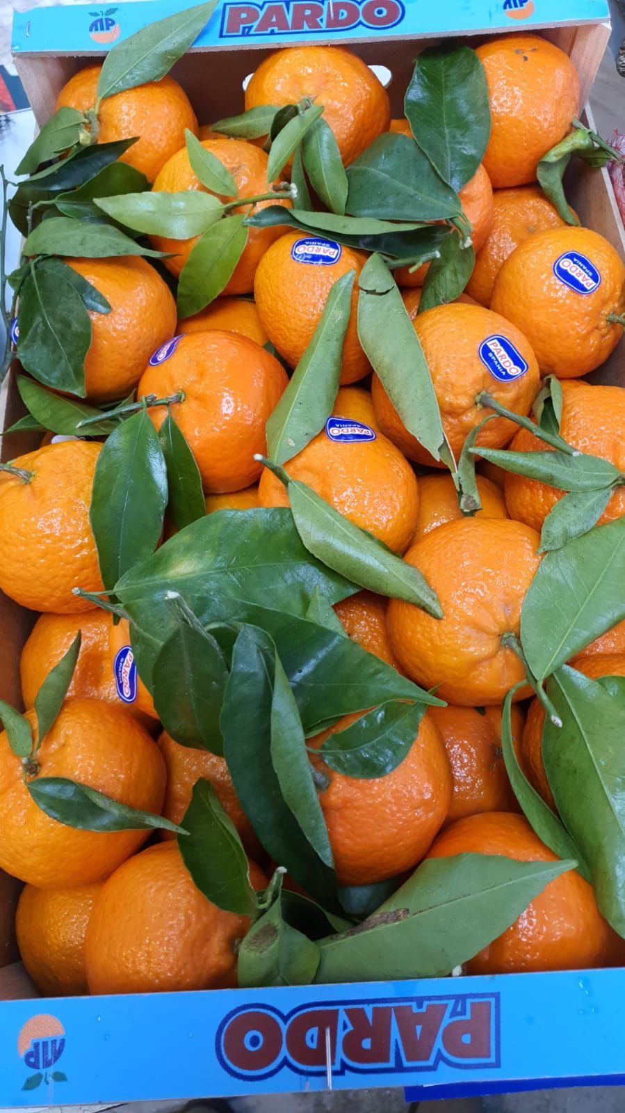 Clementines