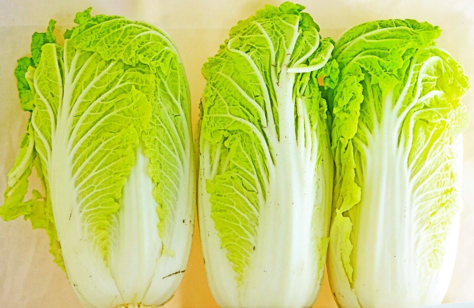 Chinese Lettuce