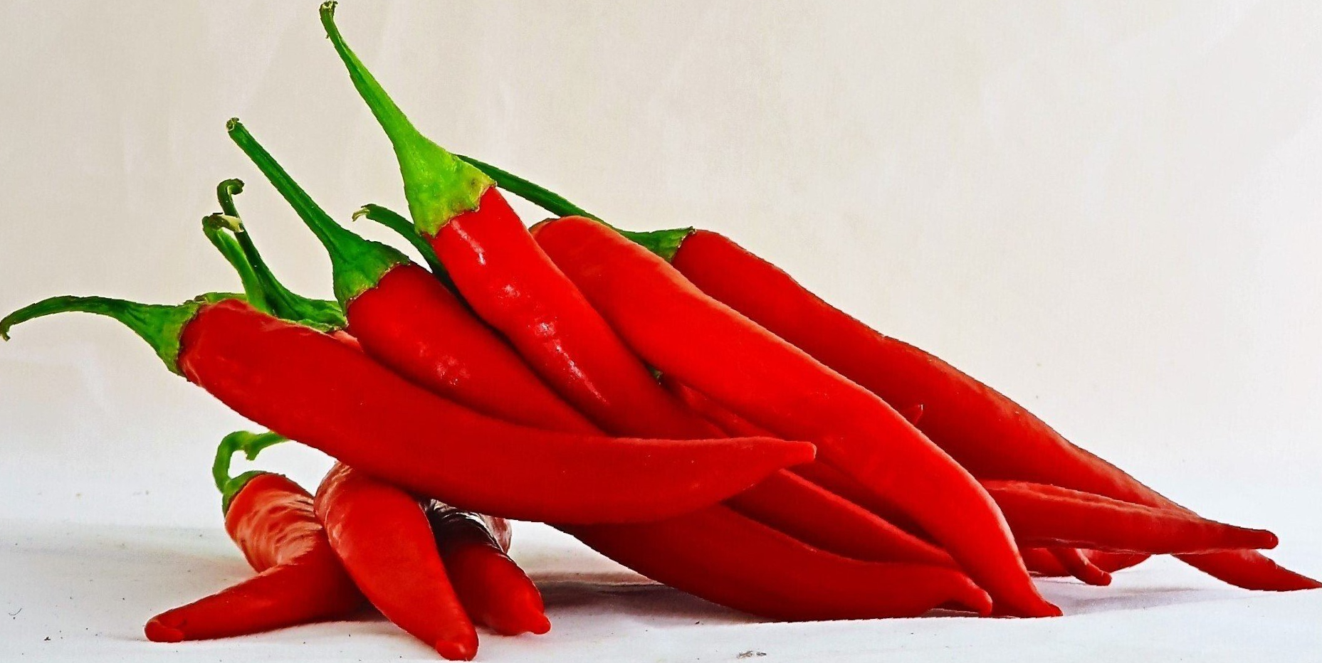 Red Chilli