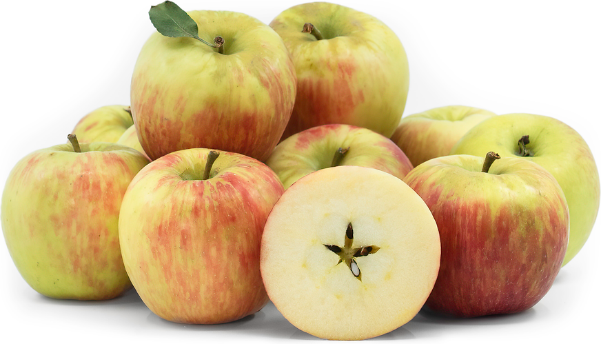 Honeycrisp Apple