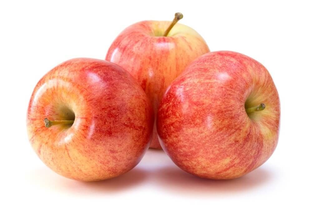 Gala Apple