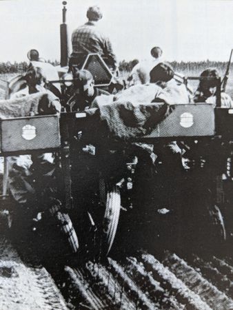 A close up of a blue flower with water drops on it in a field.